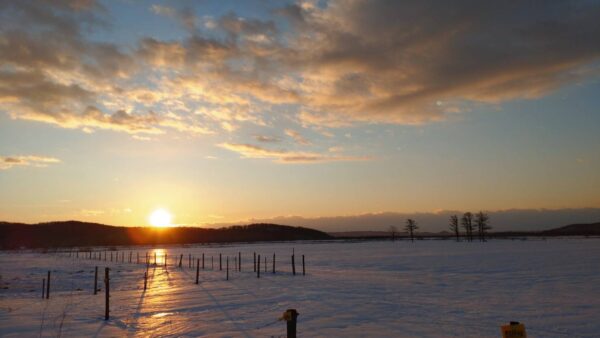 明けましておめでとうございます。
